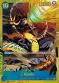 Kaido
